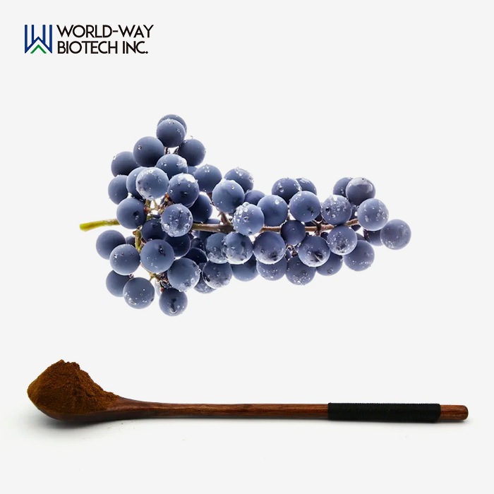 Grape Skin Extract Powder Grape Skin Extract Powder